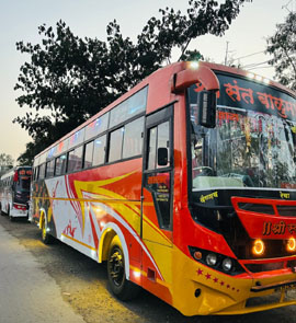 Wedding Bus Rental